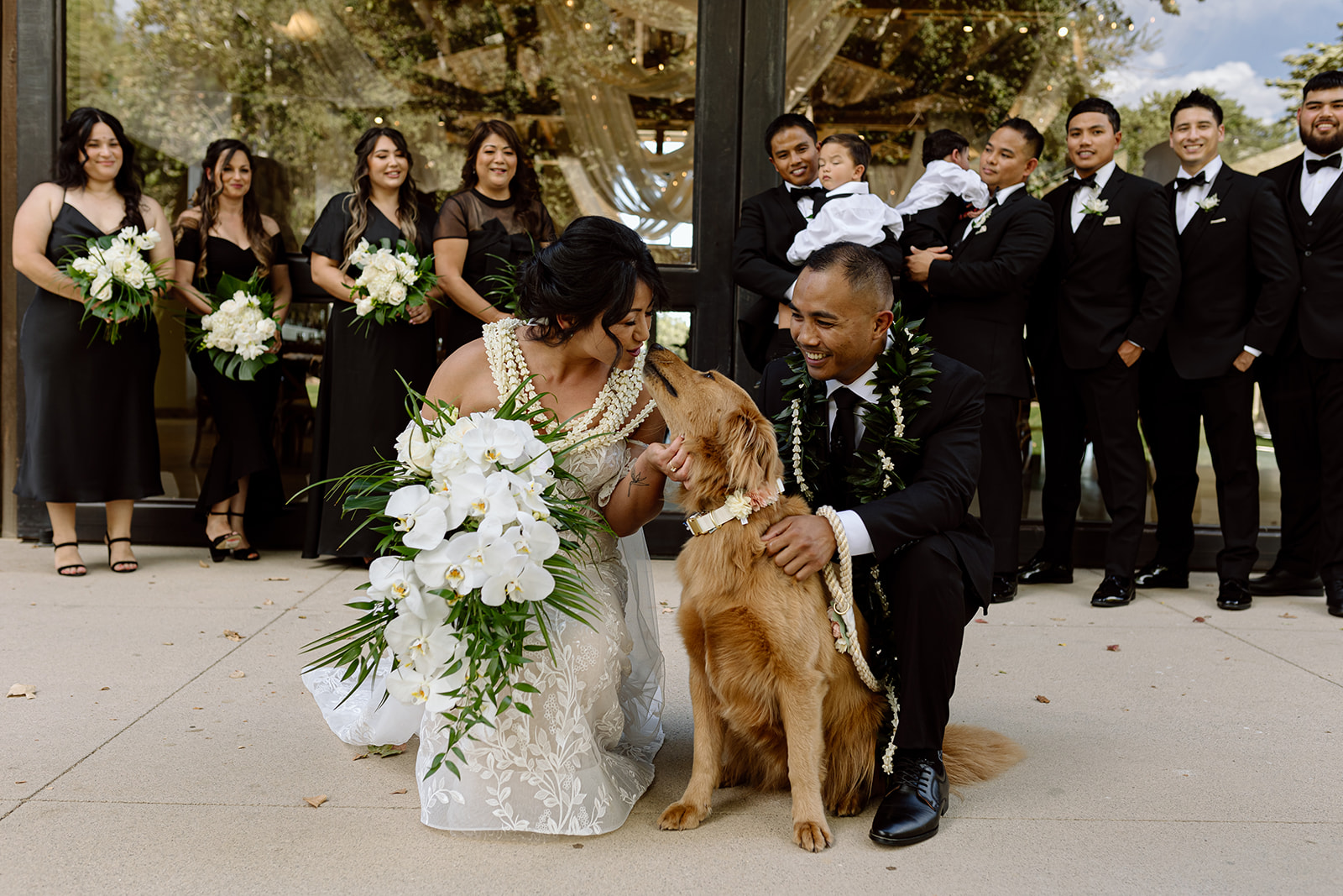 candid image of wedding couple and dog on wedding day at galway downs temecula california