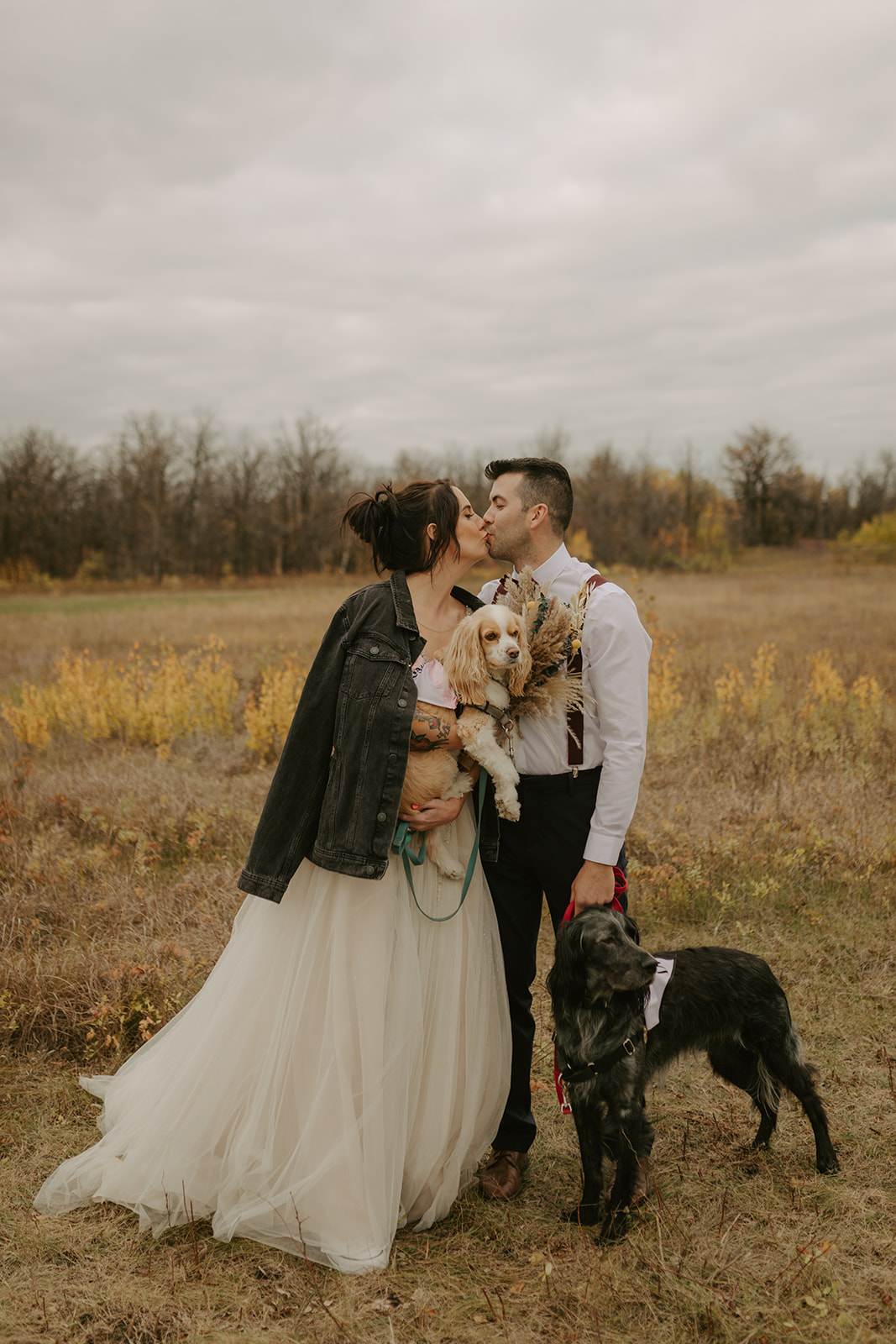 bride and groom and their dogs in living prairie museum in winnipeg