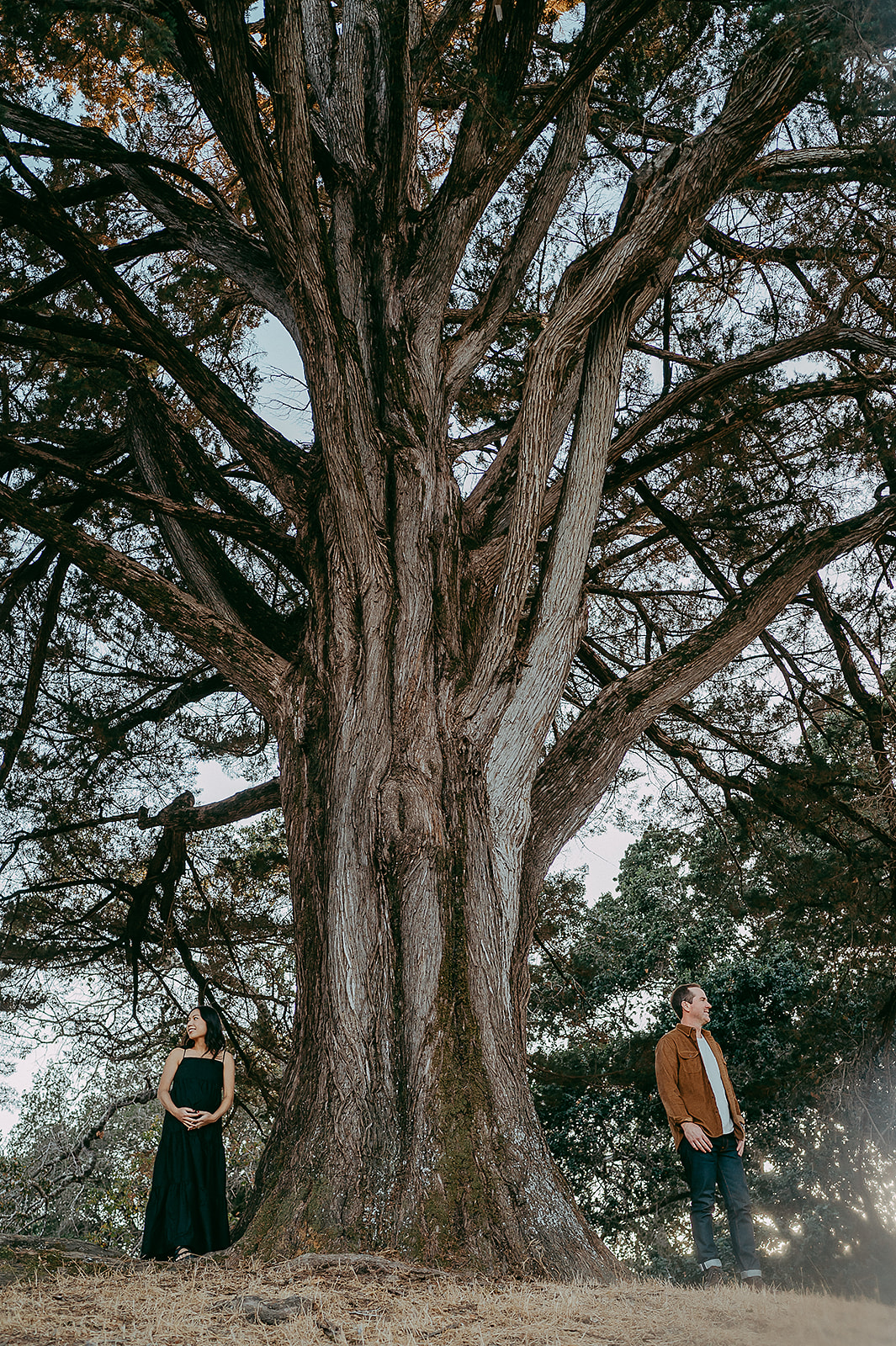 Couple posing in front of tree for maternity photos