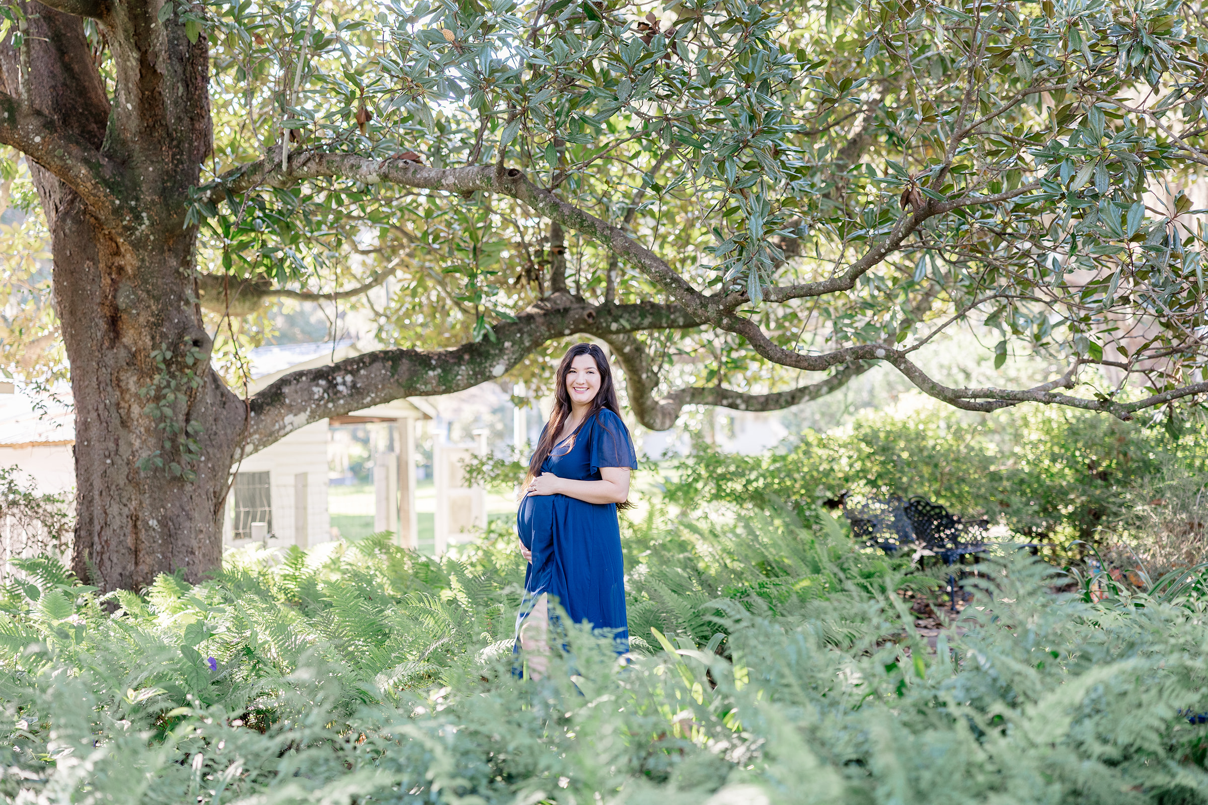 Expectant Mom in navy blue dress under the arch of a large tree