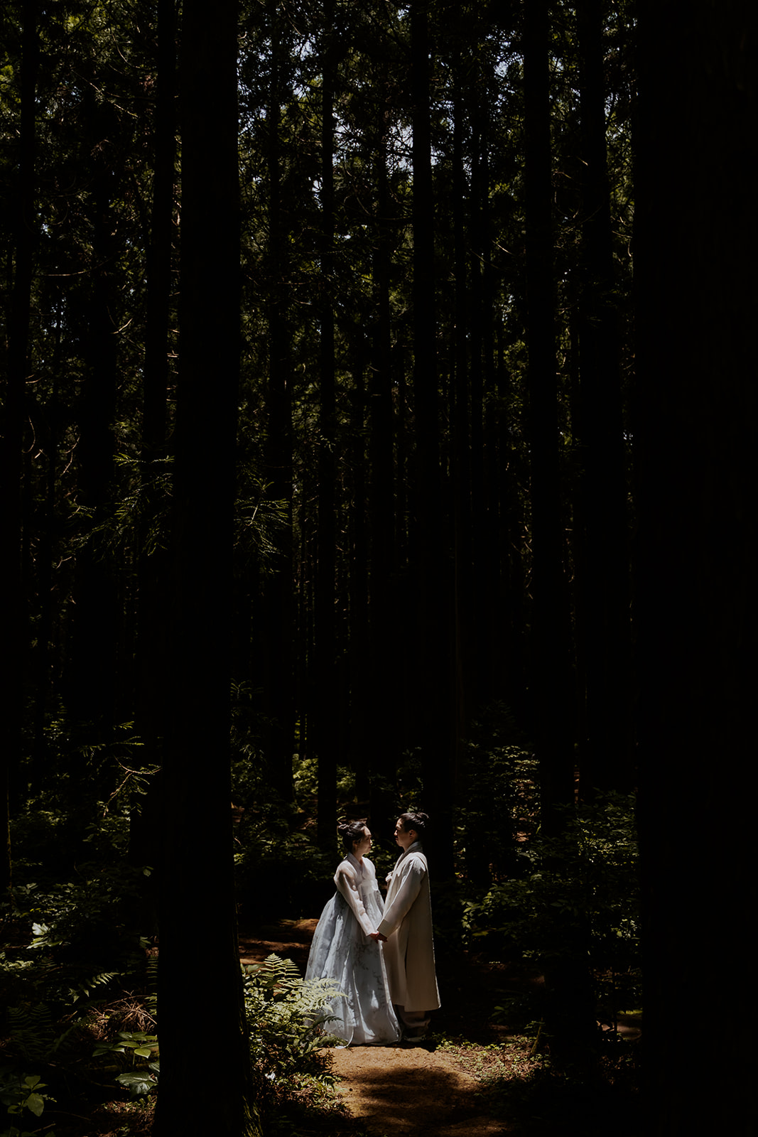 A bride and groom standing in a wooded area in Korea.