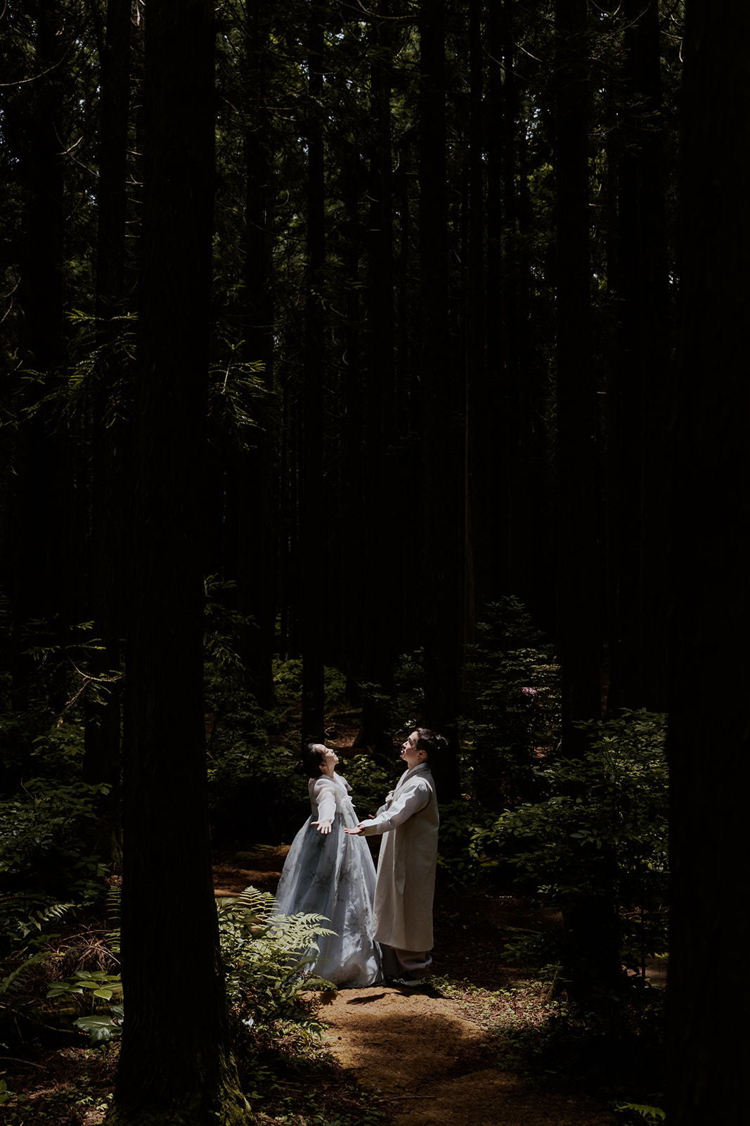 A pre-wedding couple posing in a tranquil wooded area in Korea.