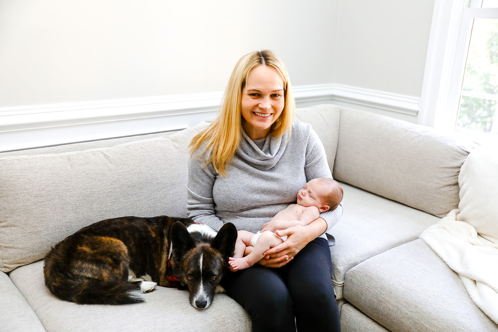 Dogs with baby photo shoot 