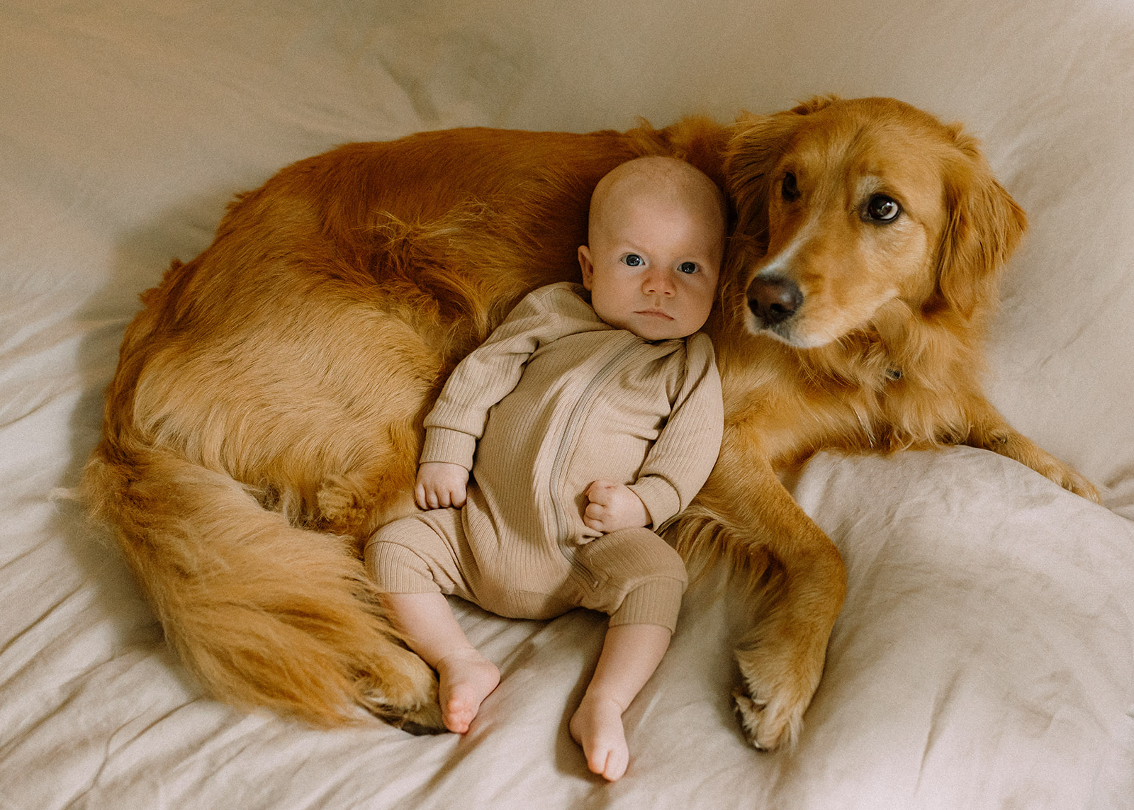 kelowna newborn family photographer puppy and baby documentary style