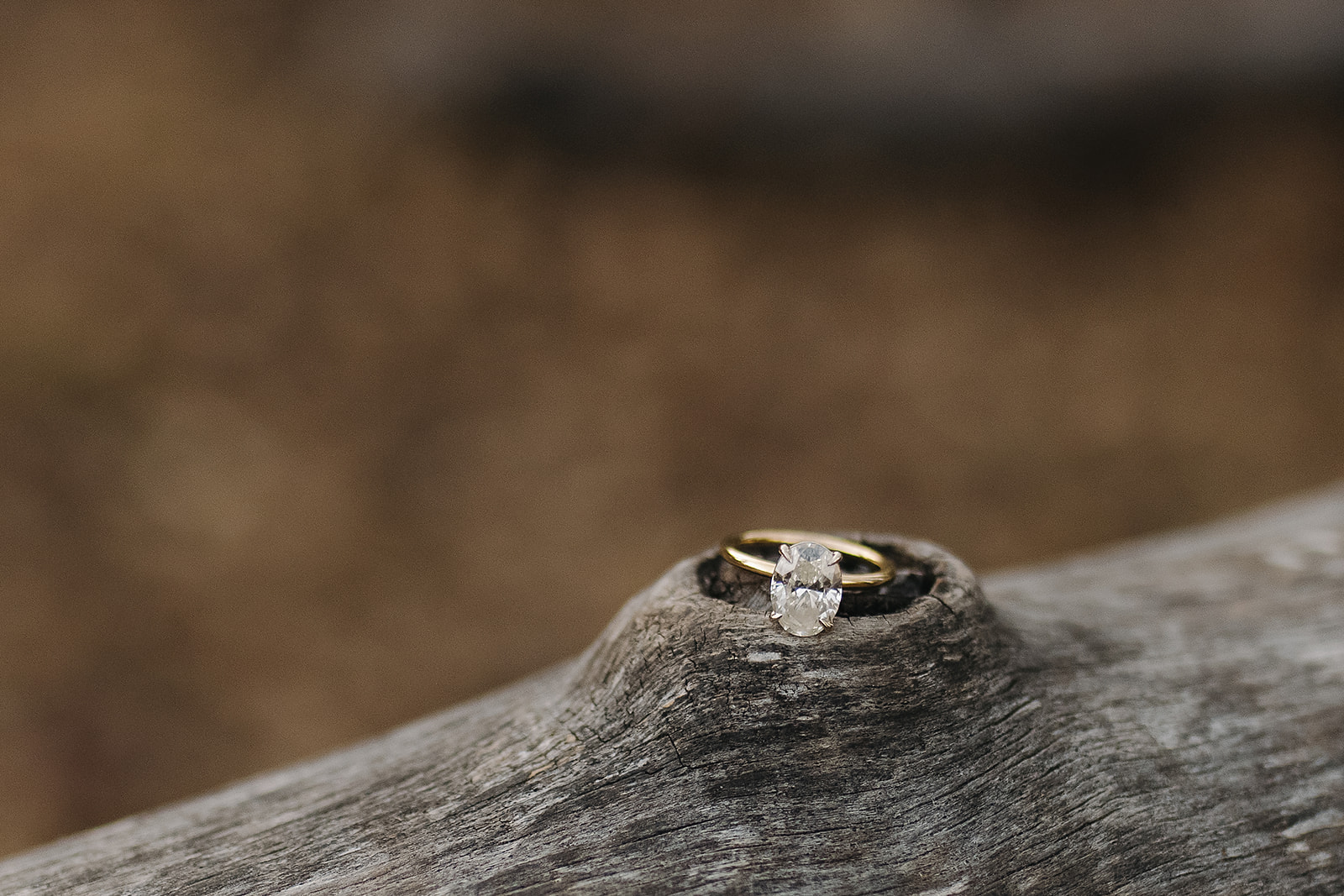 Stunning oval cut diamond engagement ring on gold band detail shot during engagement session in the Colorado Forrest