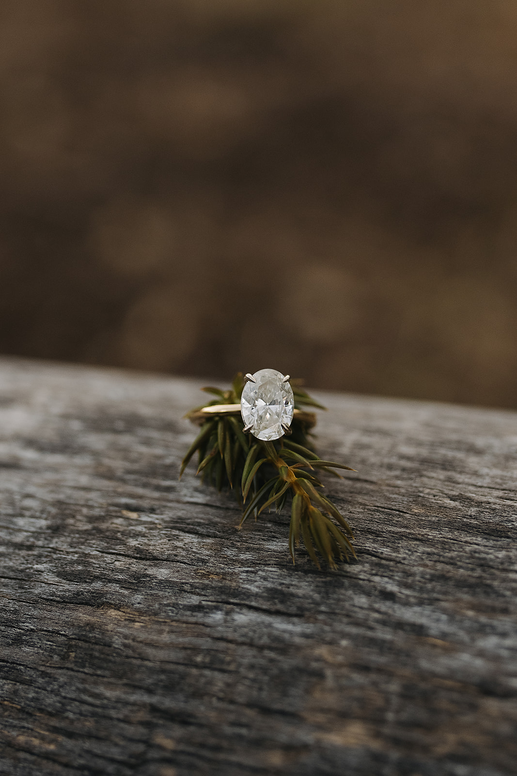 Stunning oval cut diamond engagement ring on gold band detail shot during engagement session in the Colorado Forrest