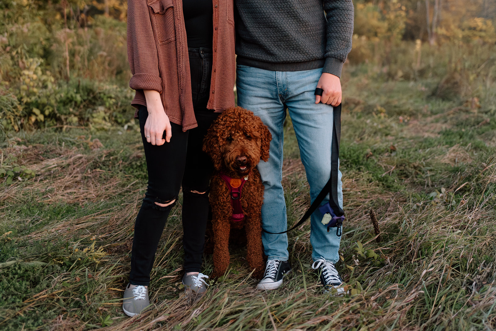 An engaged couple and their dog taking a walk through the autumn leaves during an engagement session. 