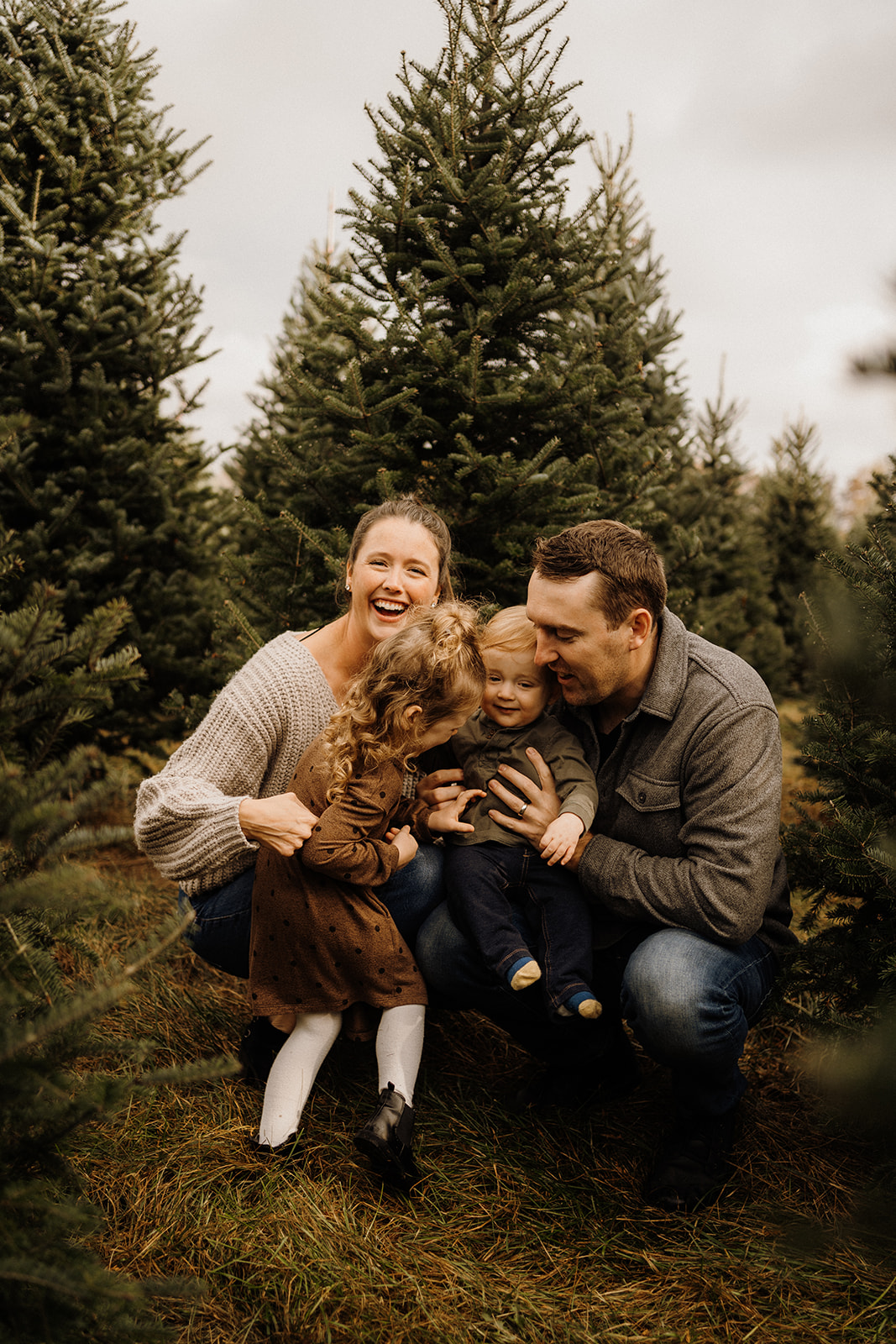 A family of four outside in front of Christmas Trees.
