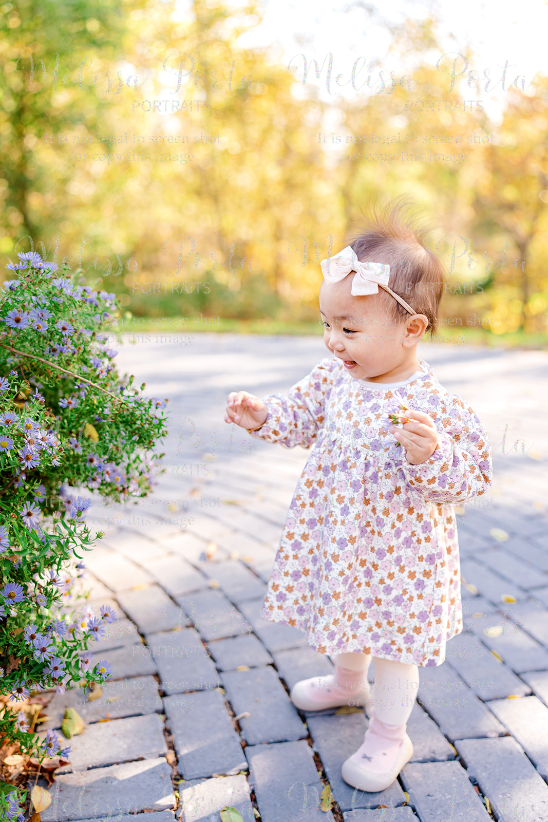 Baby picking berries during her photo session in Howard County, MD