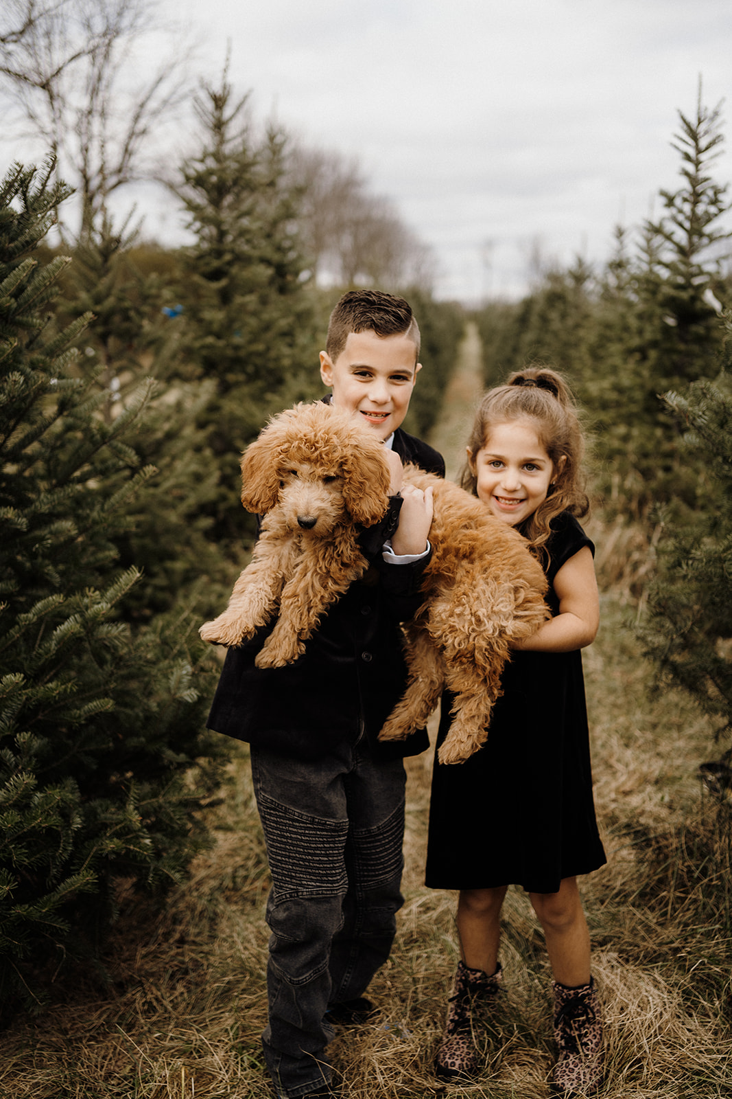 Two children holding a dog outside.