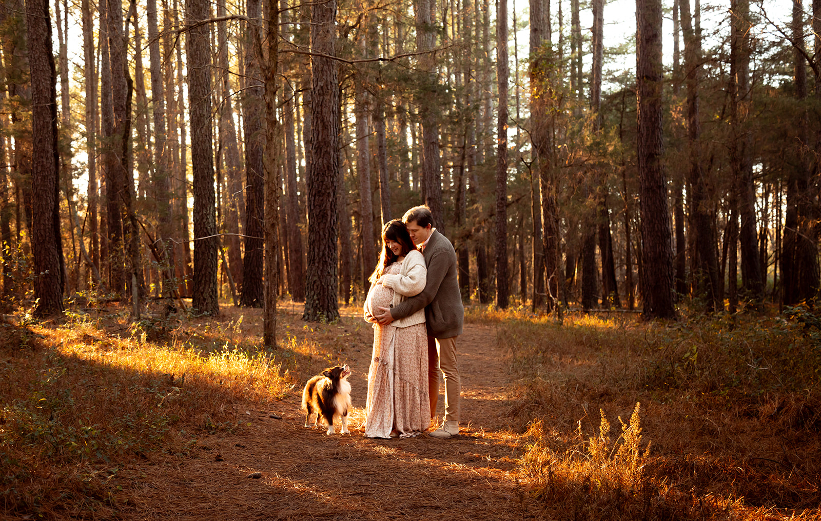pine forest maternity photos