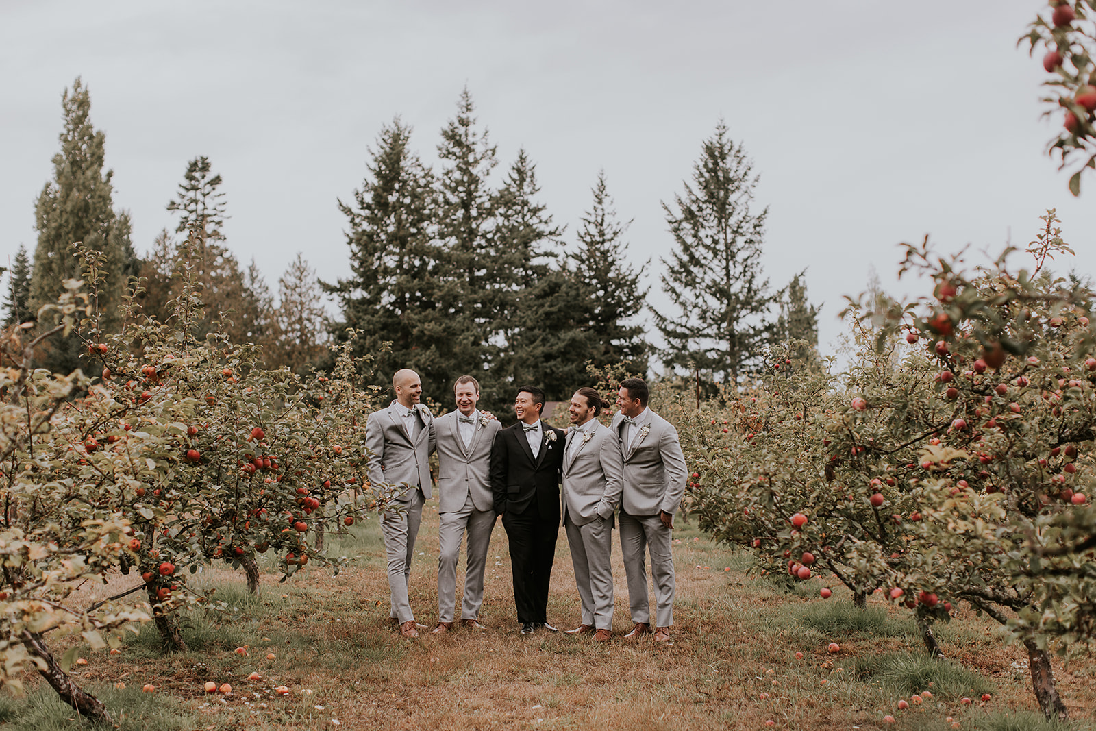 groomsmen stand with their hands in their pockets in an orchard at Sea Cider Farm 