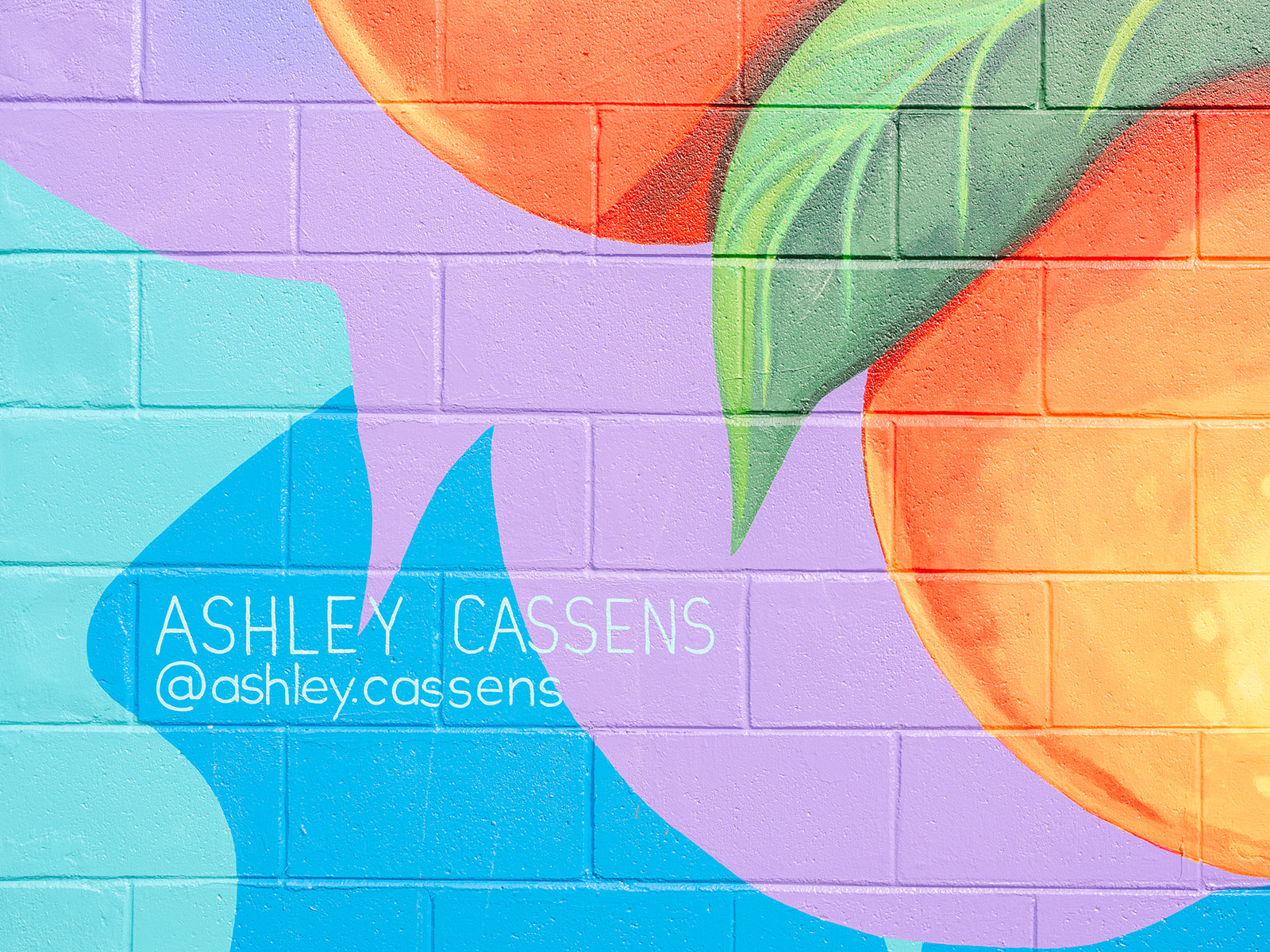 bright colorful studio branding photo shoot tampa photographer painter artist ashley cassens