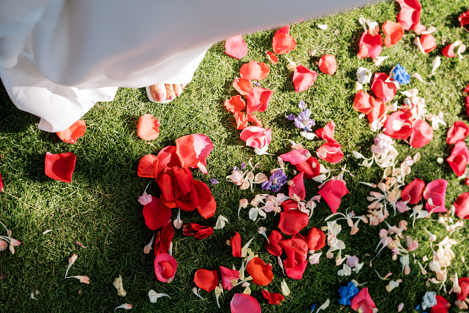 Bride walking over a lawn scattered with colorful flower petals.