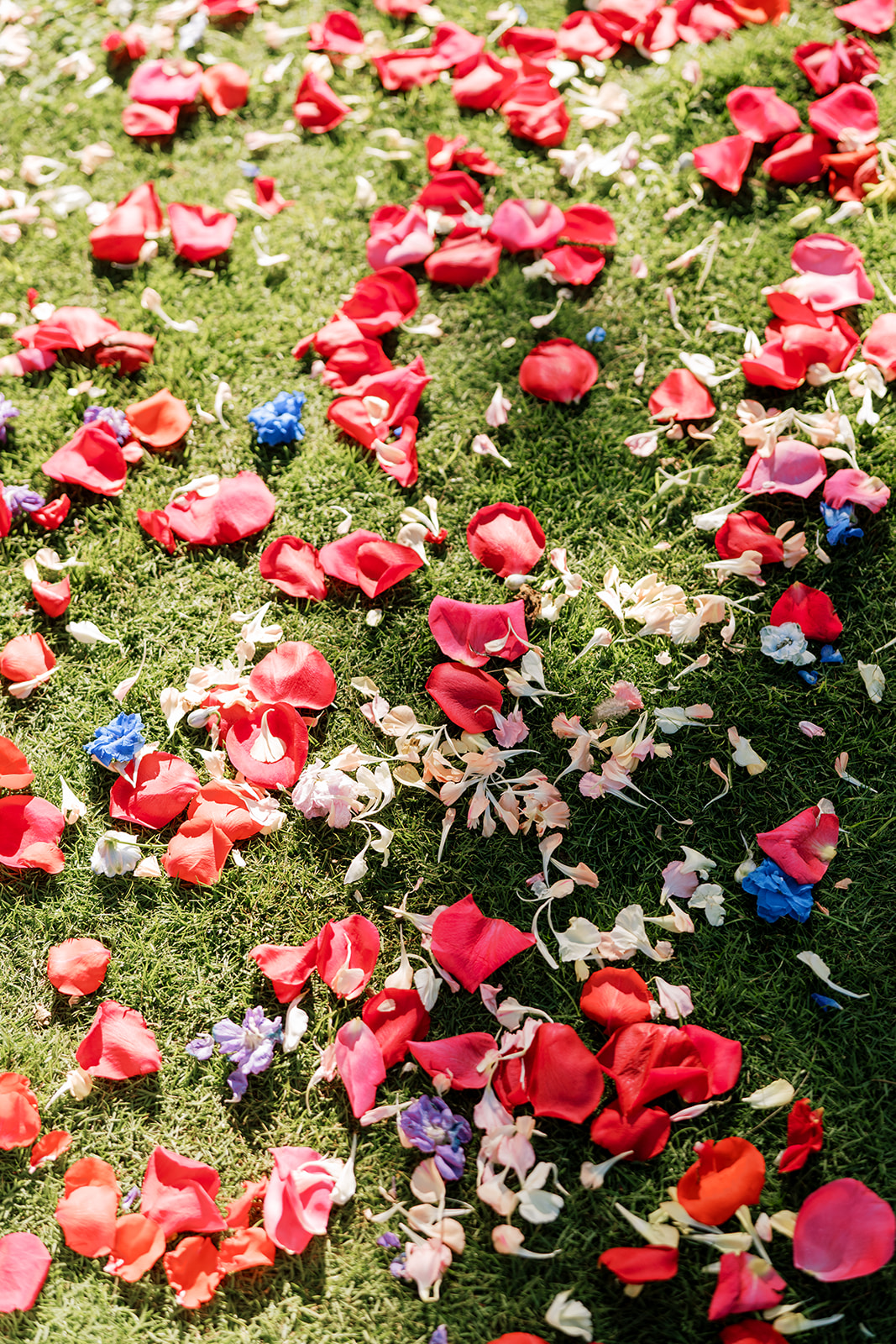 Scattered rose petals and small flowers on a grassy surface Hawaiian Wedding in Kauai