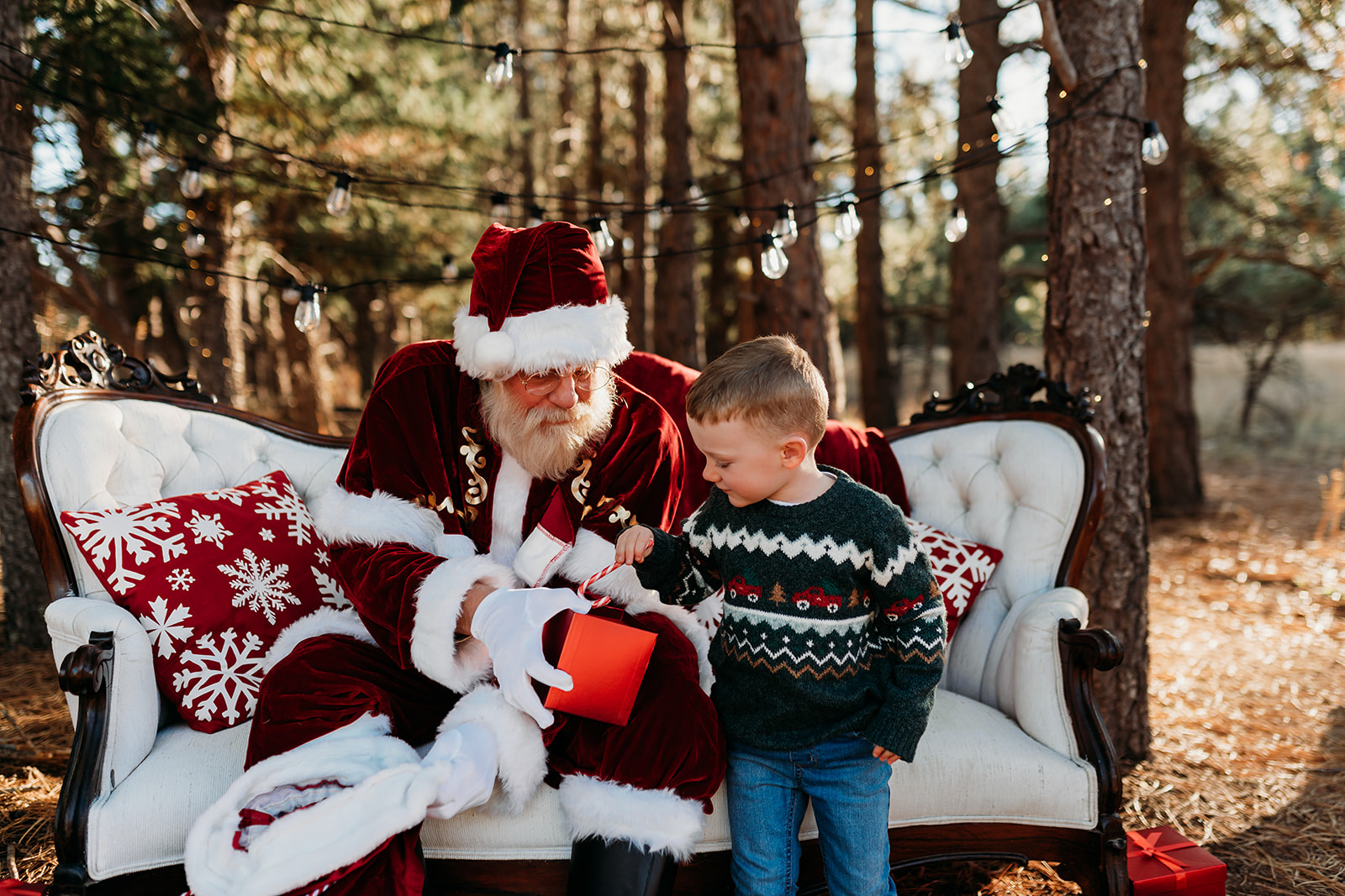 Santa's Magical Moments: Holiday Photoshoot with Kids in Monument, Colorado