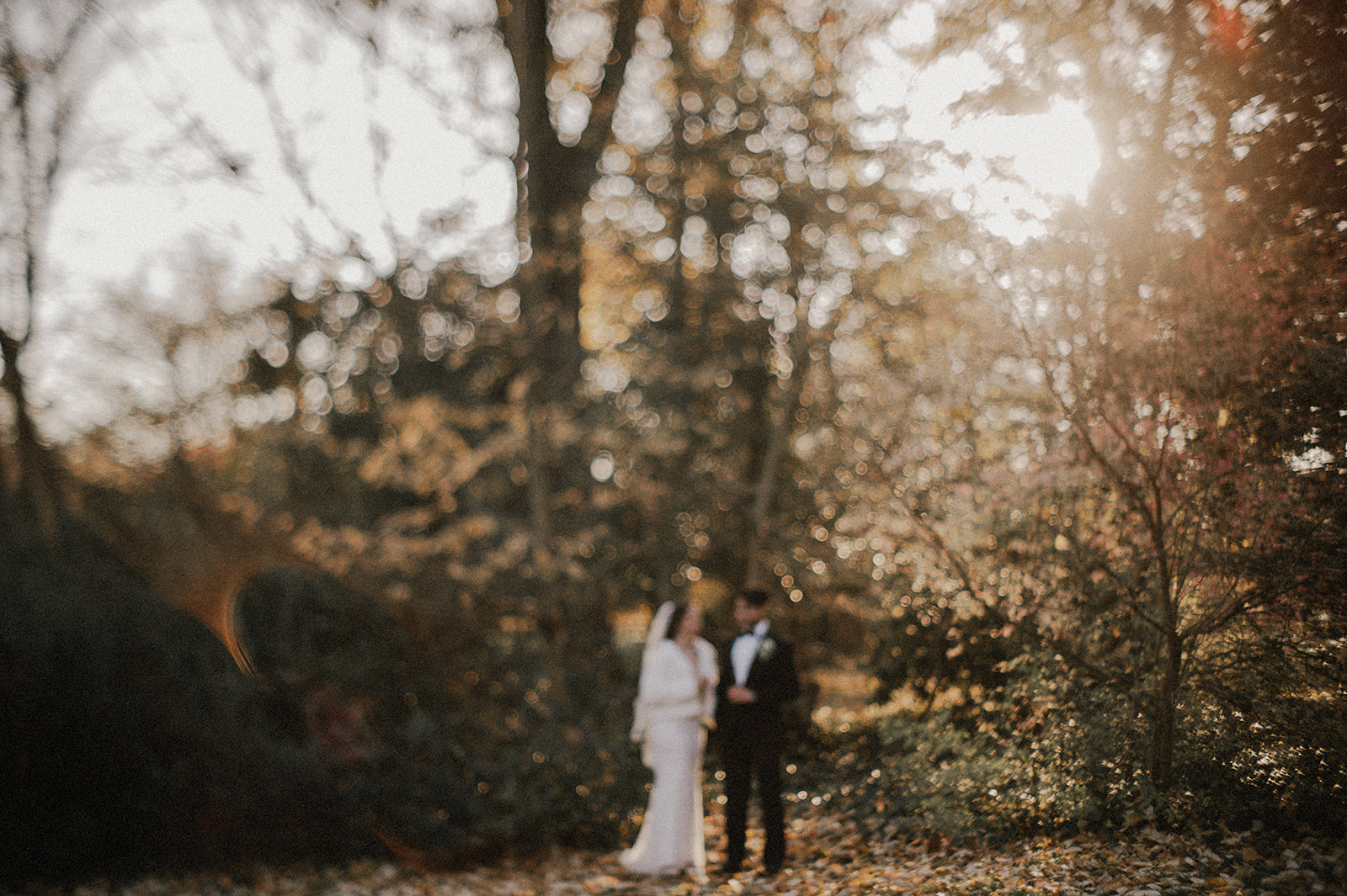 portrait of bride and groom amidst fall foliage with sun beaming through at awbury arboretum woods