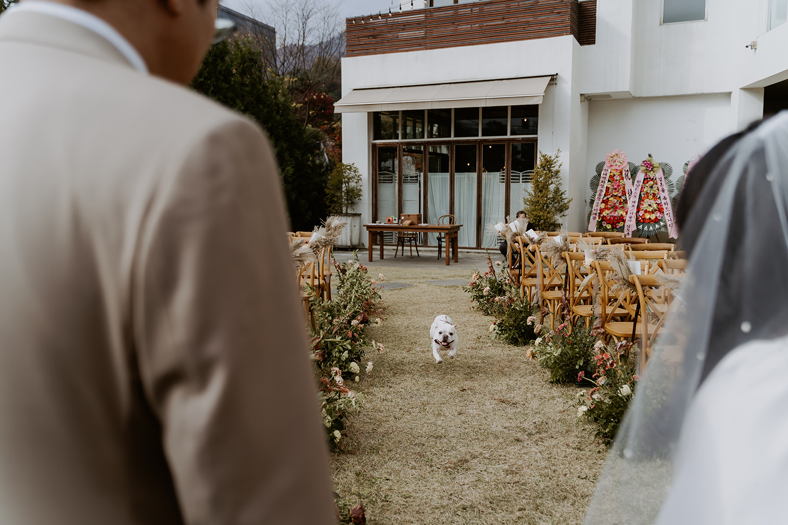 A dog happily walking down the aisle at an outdoor wedding ceremony in Seoul.