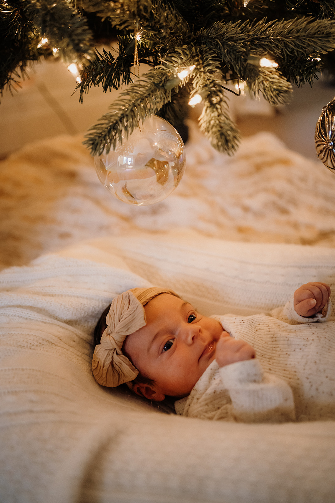 Newborn underneath the tree.