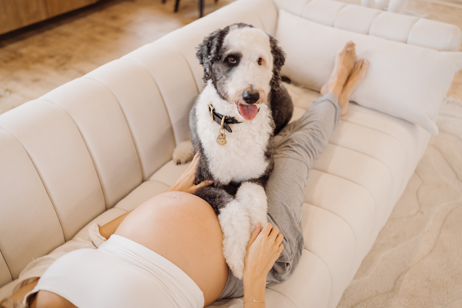 A dog sitting on a lady's legs on the couch.