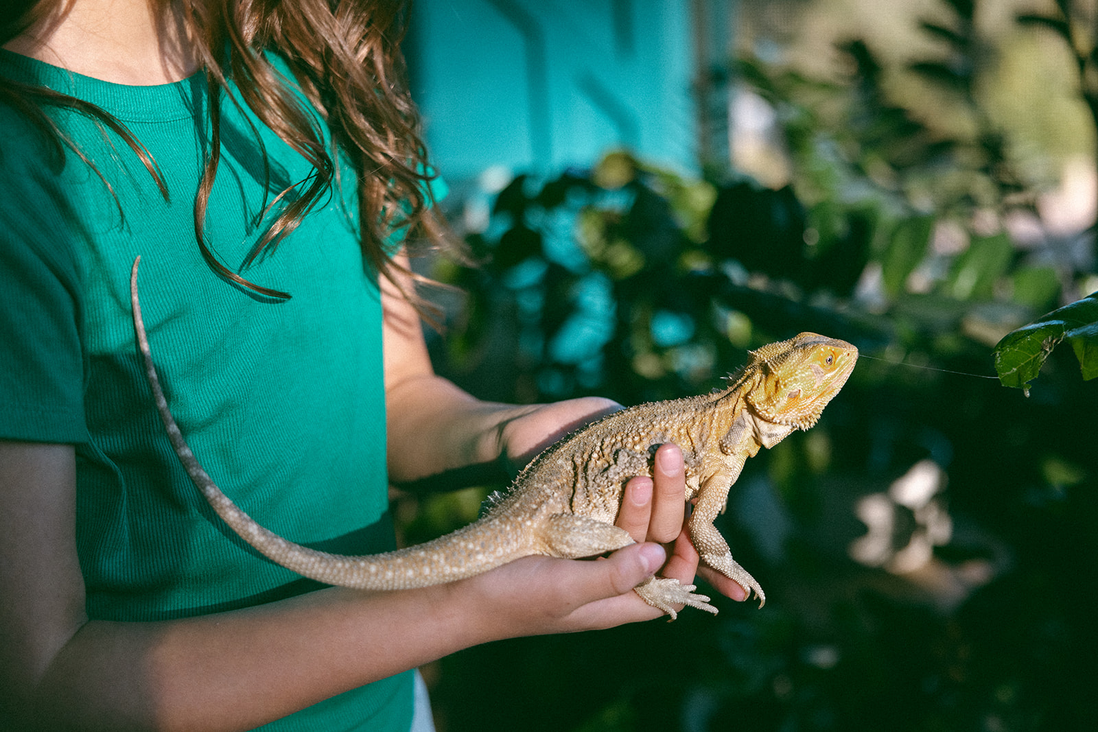 photo of girl holding a bearded dragon in front of plants
