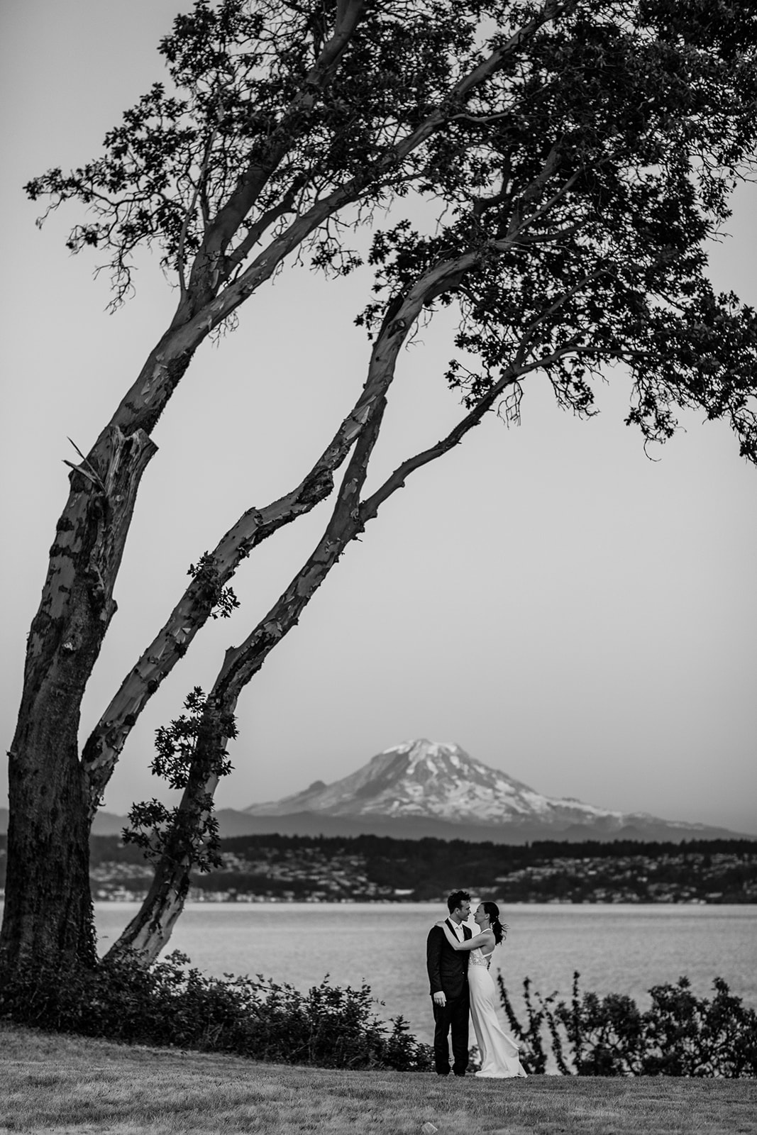 Bride and groom standing under a tree at a water-front on Vashon with Mount Rainier visible in the distant.