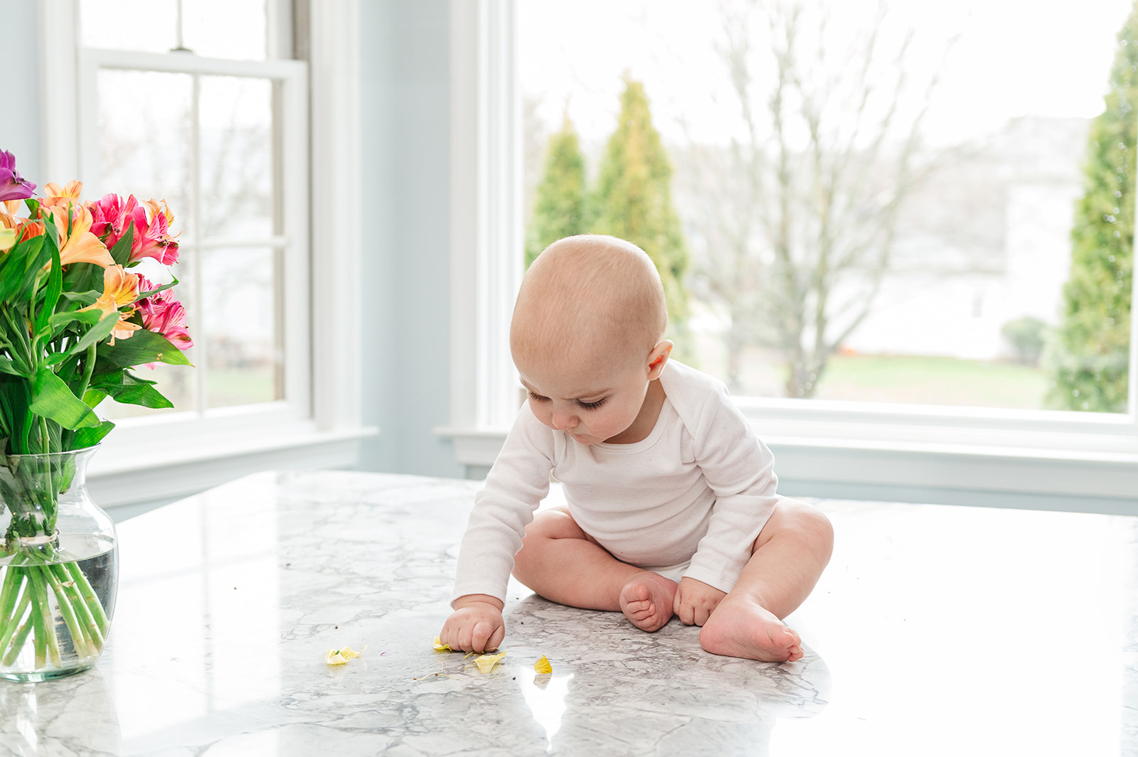 baby boy sitting on kitchen island and playing with real flower peddles