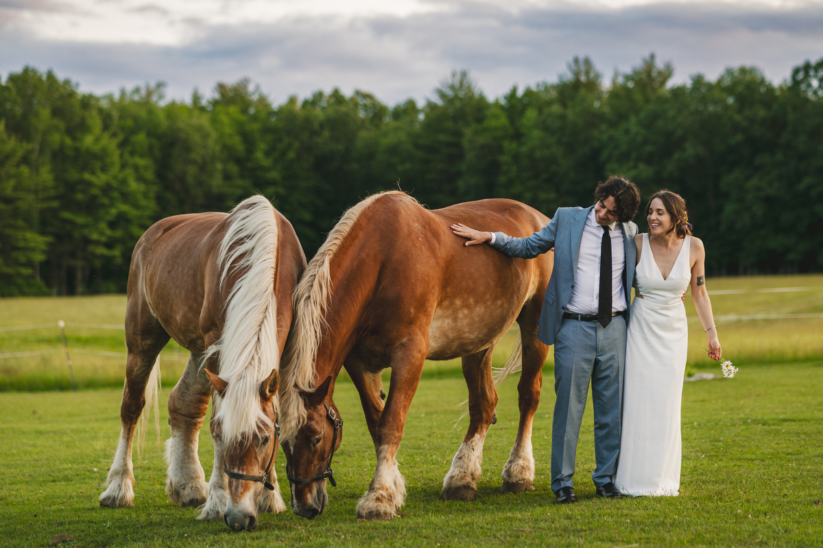 a bride and groom pet a pair of draft horses in a field at valley view farm 