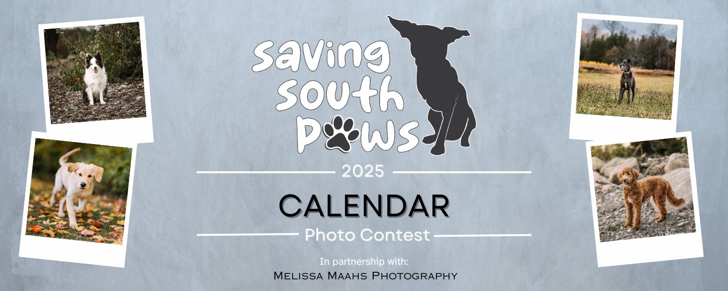 Saving South Paws dog rescue support