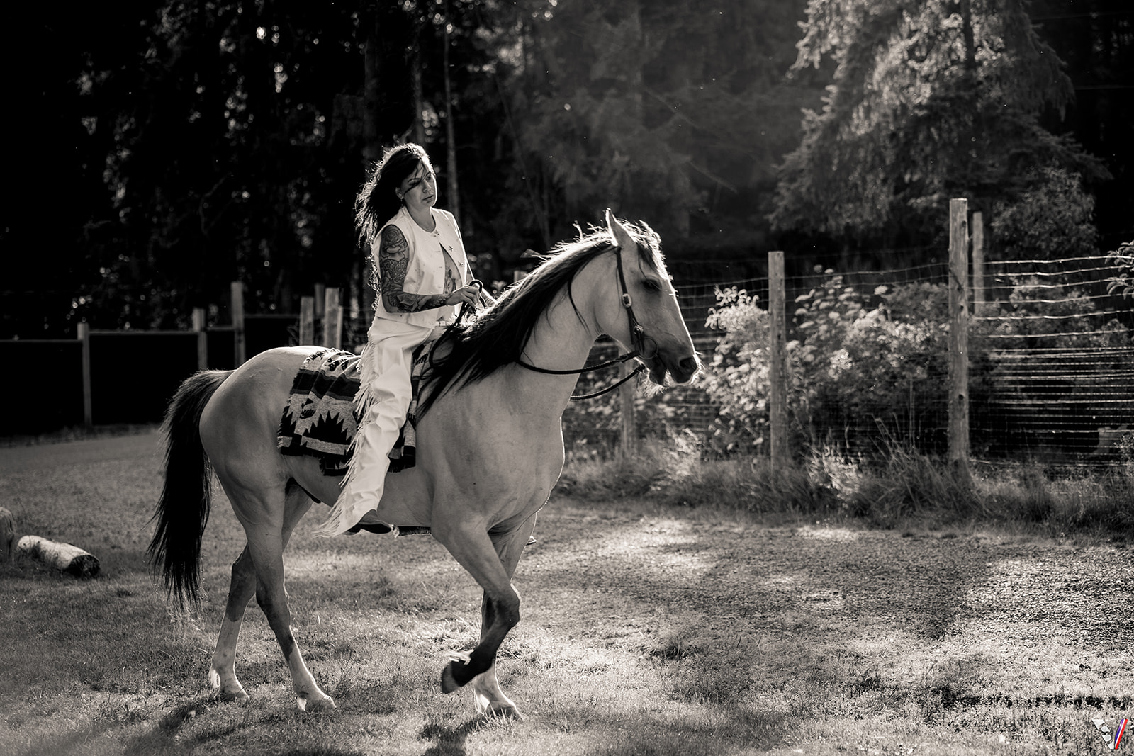 Behind the scenes: The art of capturing equine elegance in photography.