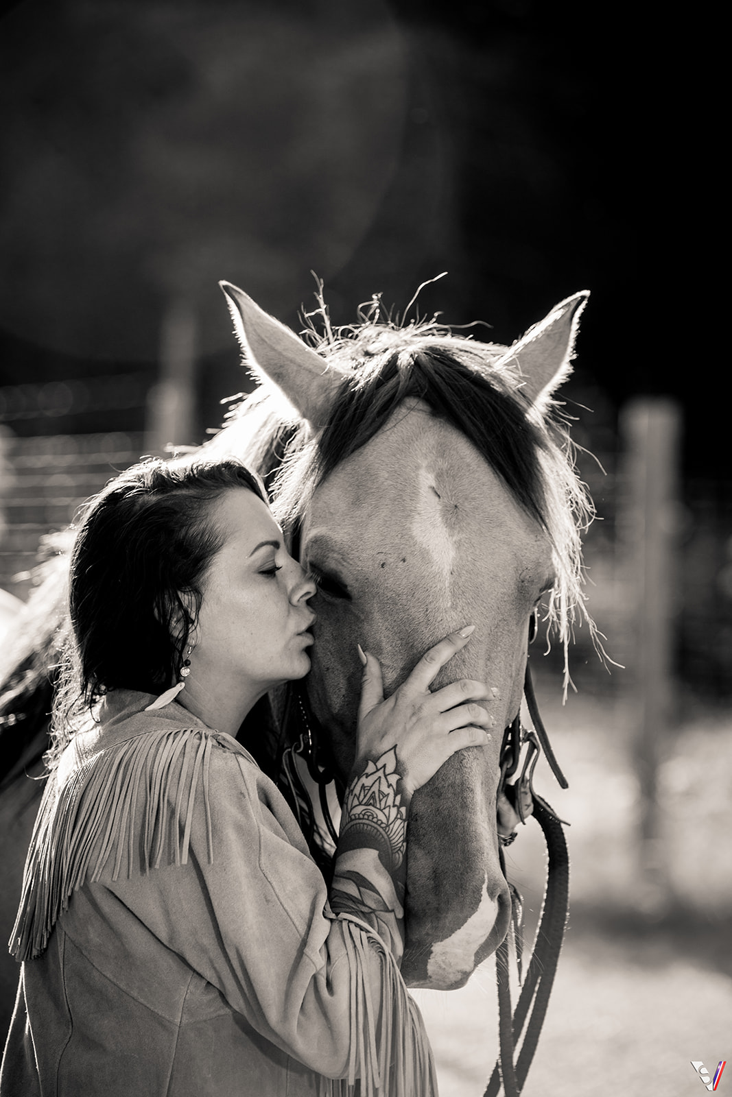 The Art of Equine Portraiture: Capturing the Beauty of Horses.