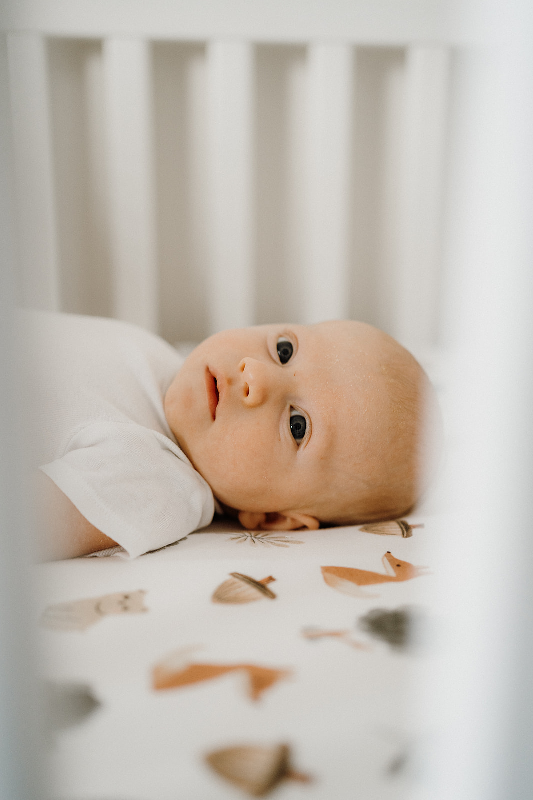 A close-up of a newborn lying in their crib.