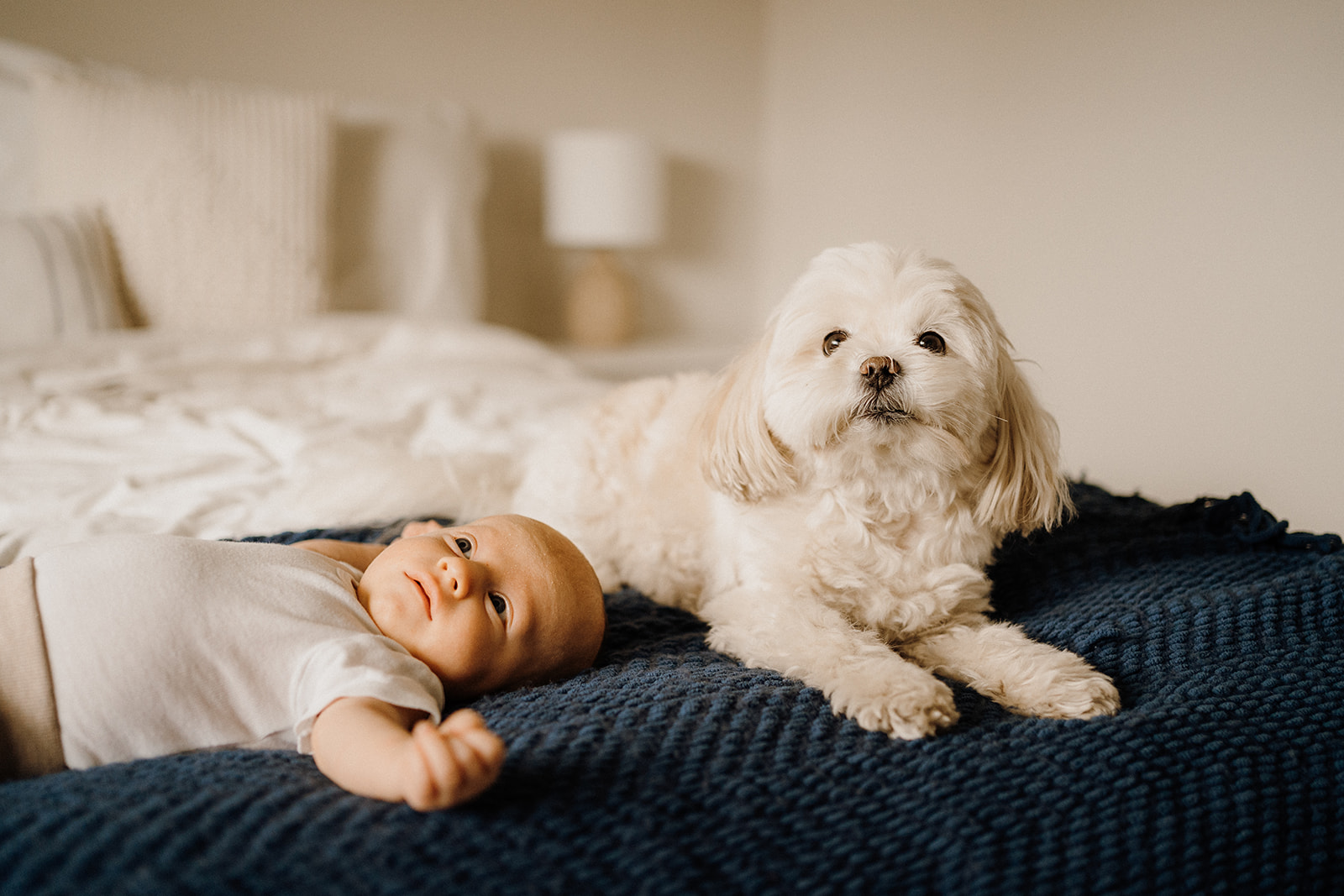 A puppy and a newborn lying on their back, on the bed.