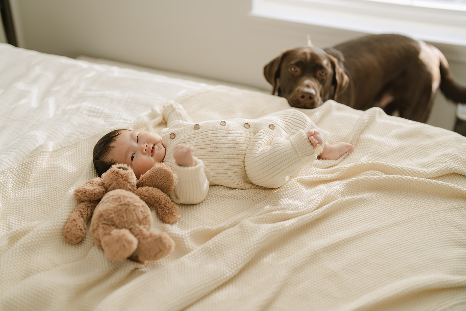 NJ newborn and dog photography in-home
