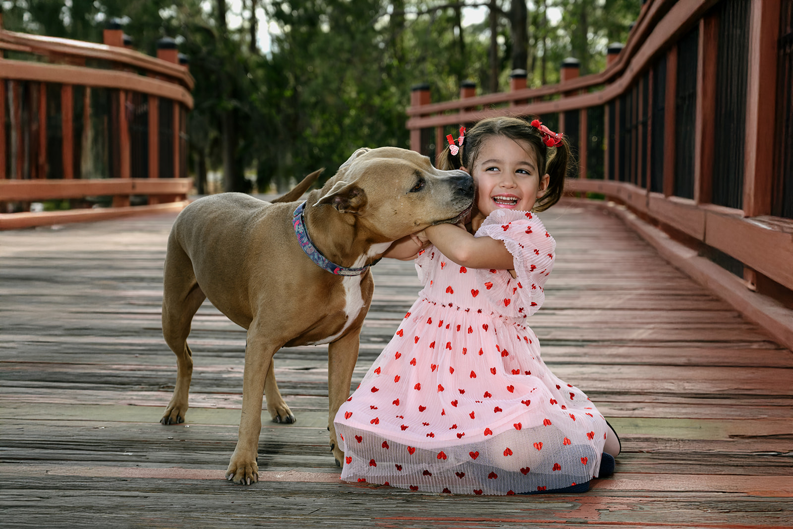 Adoptable Pittie Mix Bessie can't stop kissing little girl during their pet photo shoot at Nathan Benderson Park bridge